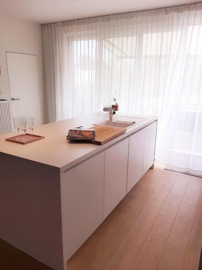 Luxe Duplex Appartement Mavi ギステル エクステリア 写真